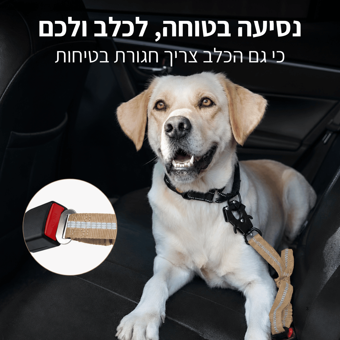 ™Trako Dog Leash