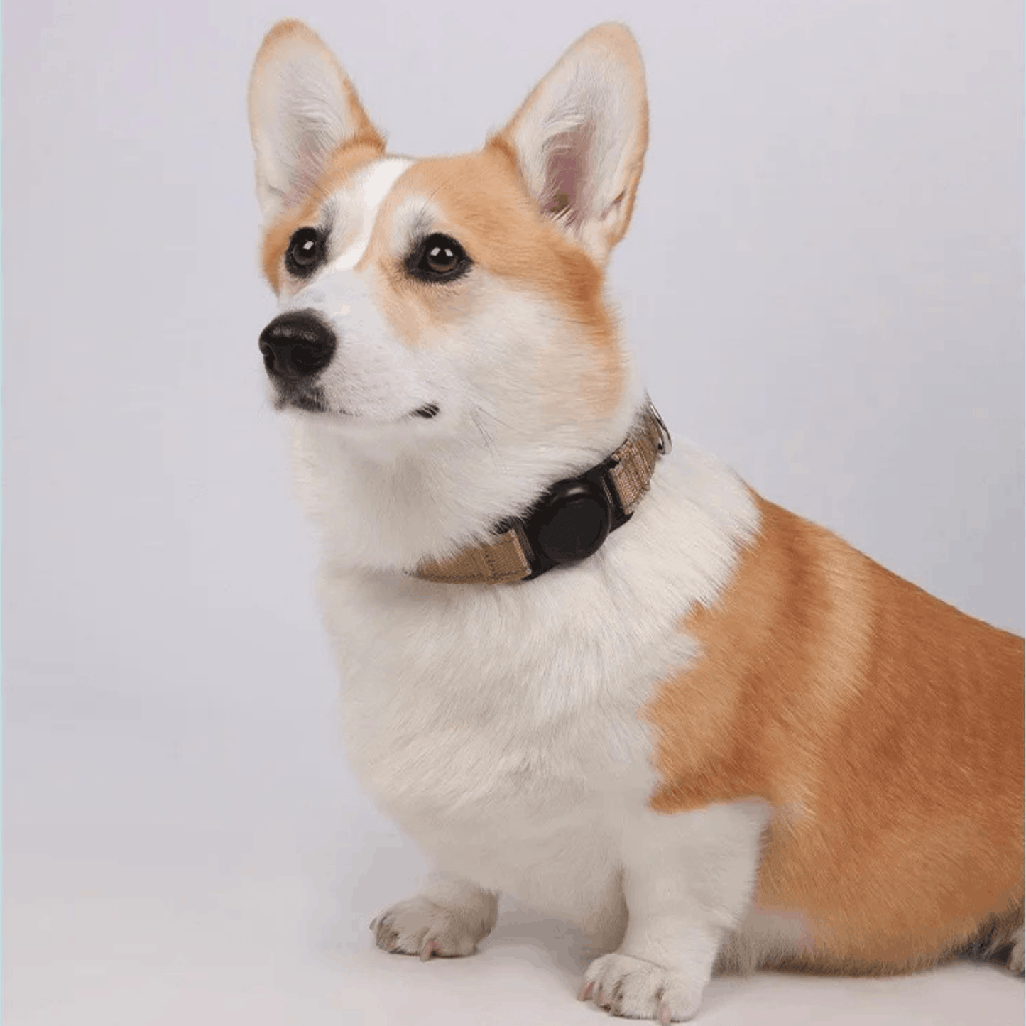 ™Trako Collar